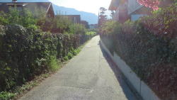 foto escursione